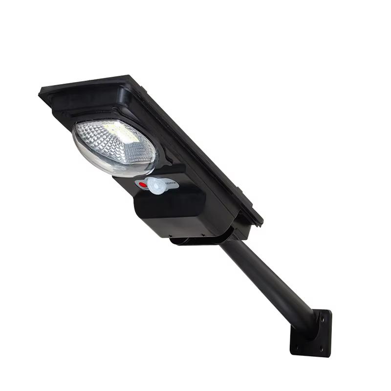 Solar Street Light 100W