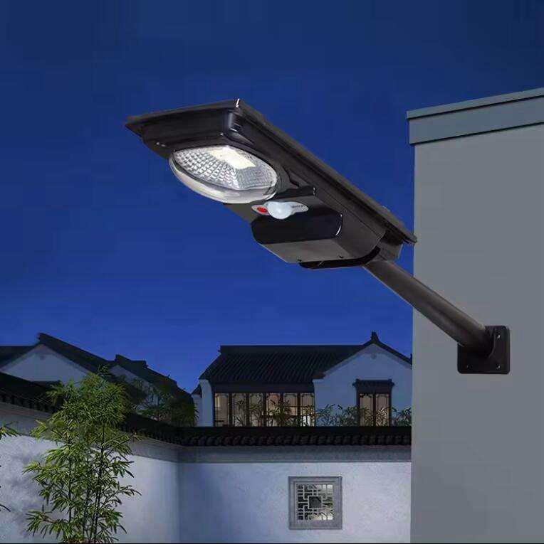 Solar Street Light 100W